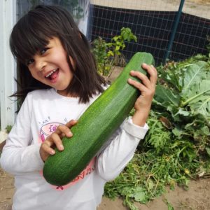 Big Zucchini - Pixca Farm in The San Diego South Bay Region