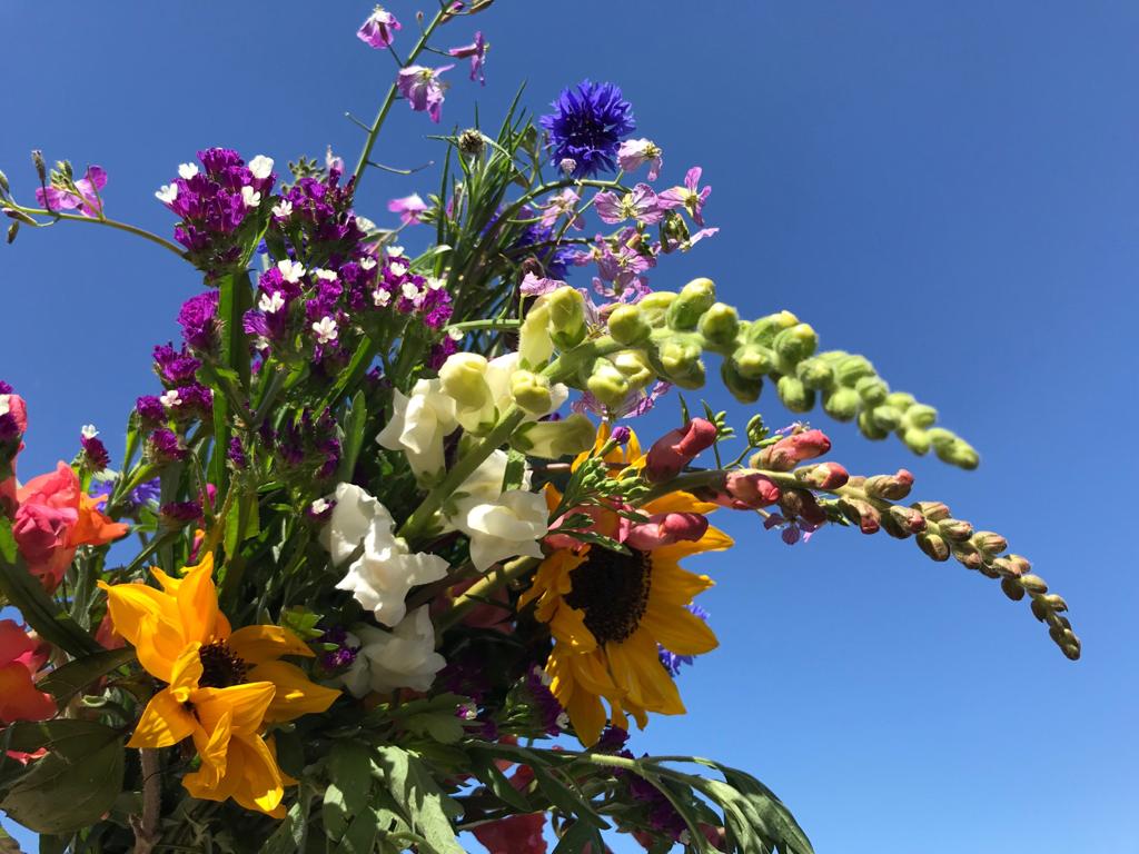 Farm fresh mixed bouquet of flowers - Pixca Farm in The San Diego South Bay Region