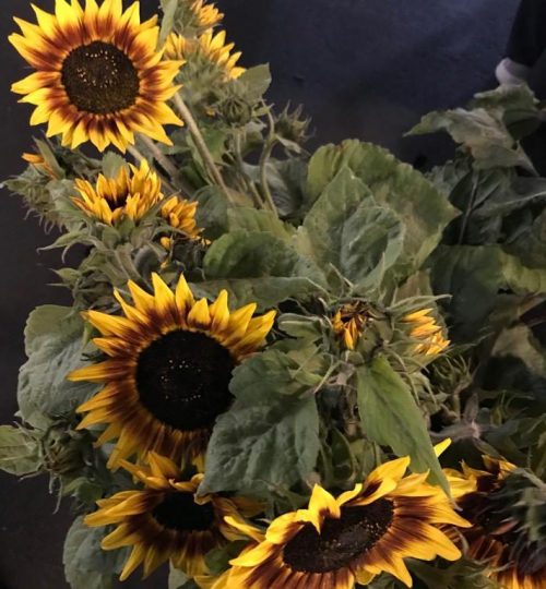 Sunflowers at a Farmers market in The San Diego South Bay Region